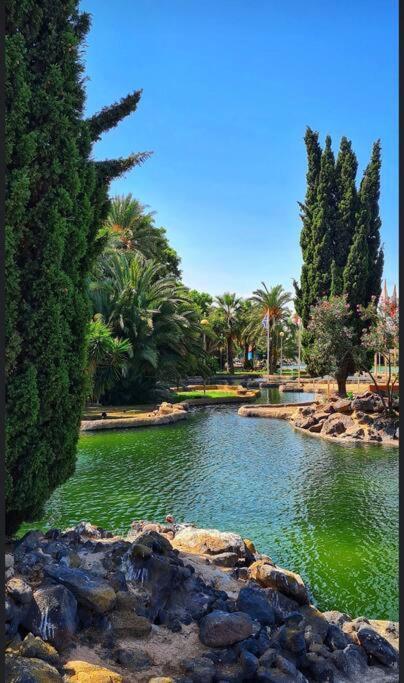 Casa Di Mateo With Garden View And Swimming Pool Appartement Torrevieja Buitenkant foto